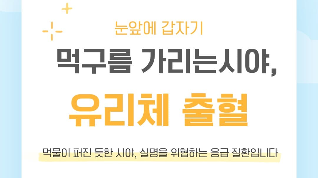 "눈앞에 먹물을 흩뿌린 것처럼 까만 점들이 쏟아진다면?" 😨🩸