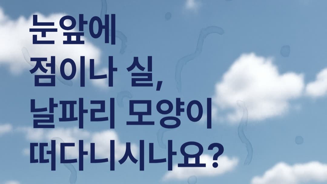👀 눈앞에 점이나 실, 날파리 모양이 떠다니시나요?